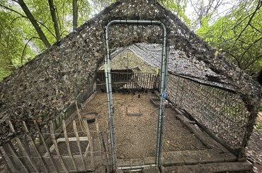 Fasanenvoliere neben Fallen im NSG Winzer | © Bettina Schröfl