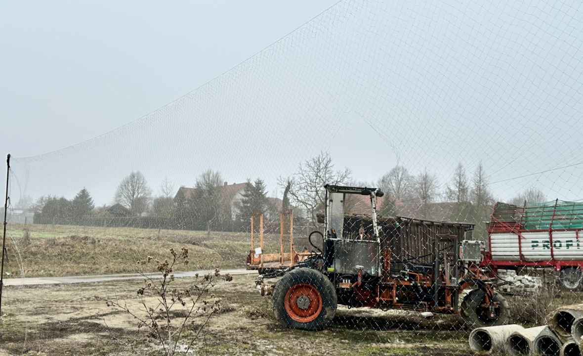 Fangnetz Singvögel  | © Bettina Schröfl