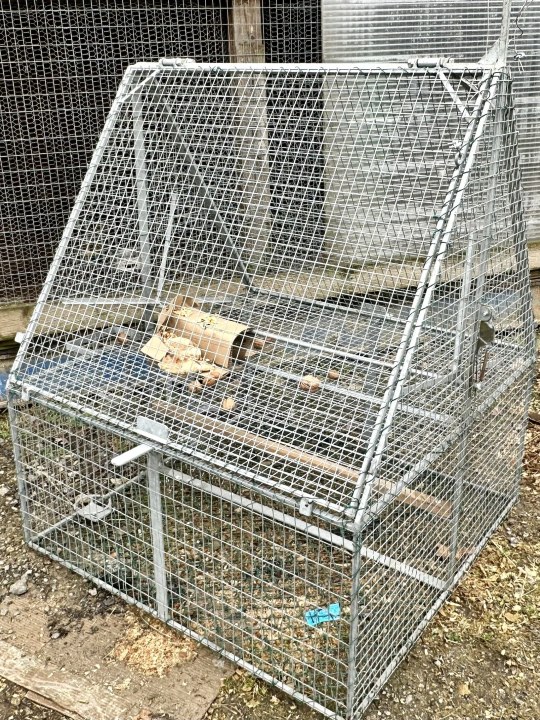 Illegale Klappfalle | © Bettina Schröfl