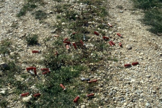 Schrotpatronen_illegale_Vogeljagd | © Heinz Tuschl