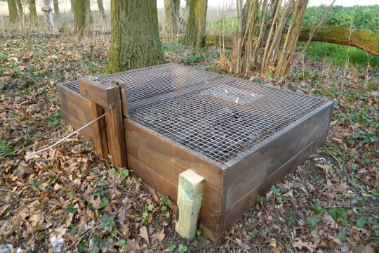 Kofferfalle steht am Waldboden | © Komitee gegen den Vogelmord e.V.