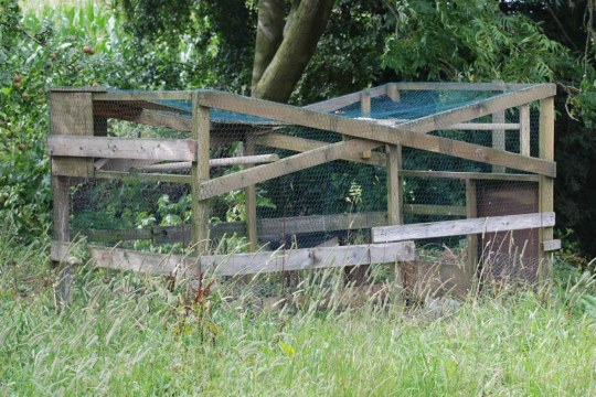 Leiterfalle | © Komitee gegen den Vogelmord e.V.